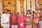 Art Director GK Son Wedding Reception - 15 of 54
