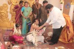 Arun Pandian Daughter Wedding n Reception  - 4 of 152