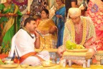 Balakrishna Daughter Wedding Photos 02 - 28 of 117