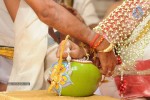 Balakrishna Daughter Wedding Photos 02 - 29 of 117