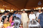 Balakrishna Daughter Wedding Photos 02 - 34 of 117