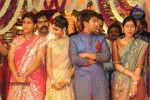 Balakrishna Daughter Wedding Photos 02 - 67 of 117