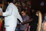 Politicians and Tollywood Stars at Balakrishna Daughter Wedding - 3 of 48