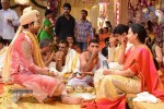 Balakrishna Daughter Tejaswini in Pallaki Photos - 73 of 172