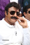 Balakrishna Launches Raju Gari Ruchulu - 74 of 304