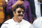 Balakrishna Launches Raju Gari Ruchulu - 139 of 304