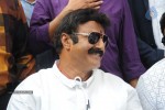 Balakrishna Launches Raju Gari Ruchulu - 173 of 304