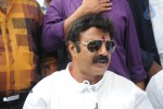Balakrishna Launches Raju Gari Ruchulu - 230 of 304