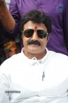 Balakrishna Launches Raju Gari Ruchulu - 249 of 304