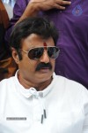 Balakrishna Launches Raju Gari Ruchulu - 303 of 304