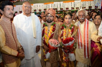 Bandaru Dattatreya Daughter Marriage Photos - 36 of 128
