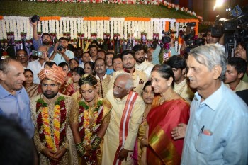 Bandaru Dattatreya Daughter Marriage Photos - 44 of 128