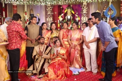 Boyapati Srinu Brother Daughter Tejaswini Weds Midhun Photos - 16 of 51