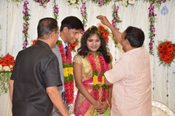 Cameraman Navakanth Son Sumanth Wedding Reception - 59 of 134