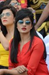CCL4 Mumbai Heroes Vs Telugu Warriors Match Photos - 110 of 178