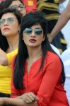 CCL4 Mumbai Heroes Vs Telugu Warriors Match Photos - 114 of 178