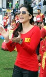 CCL4 Mumbai Heroes Vs Telugu Warriors Match Photos - 81 of 178