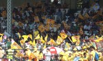CCL5 Chennai Rhinos Vs Kerala Strikers Match Photos - 37 of 90