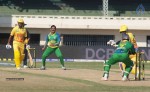 CCL5 Chennai Rhinos Vs Kerala Strikers Match Photos - 43 of 90