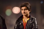 CCL5 Telugu warriors vs Bengal Tigers 01 - 47 of 214