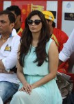 CCL 5 Final Telugu Warriors vs Chennai Rhinos Match Photos 02 - 125 of 195
