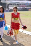 CCL 5 Telugu Warriors vs Karnataka Bulldozers Match Photos - 35 of 178
