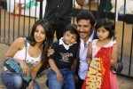 CCL 5 Telugu Warriors vs Karnataka Bulldozers Match Photos - 37 of 178