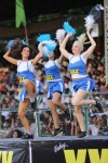 CCL 5 Telugu Warriors vs Karnataka Bulldozers Match Photos - 74 of 178