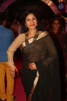Celebrities at Apsara Awards 2016 - 13 of 105