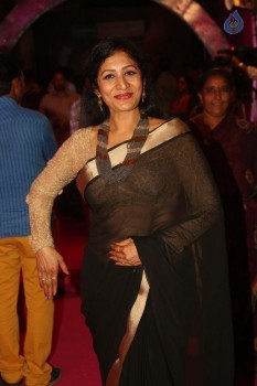 Celebrities at Apsara Awards 2016 - 76 of 105