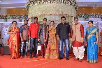 Celebrities at Delhi Rajeswari Son Wedding Reception - 2 of 94