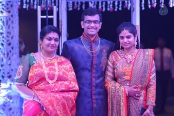 Celebrities at Delhi Rajeswari Son Wedding Reception - 6 of 94