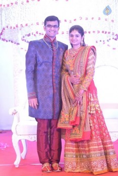 Celebrities at Delhi Rajeswari Son Wedding Reception - 33 of 94