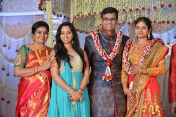 Celebrities at Delhi Rajeswari Son Wedding Reception - 50 of 94
