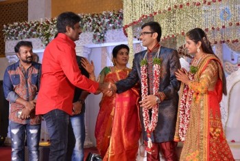 Celebrities at Delhi Rajeswari Son Wedding Reception - 51 of 94
