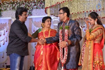 Celebrities at Delhi Rajeswari Son Wedding Reception - 57 of 94
