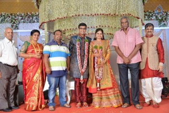 Celebrities at Delhi Rajeswari Son Wedding Reception - 67 of 94