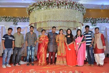 Celebrities at Delhi Rajeswari Son Wedding Reception - 79 of 94