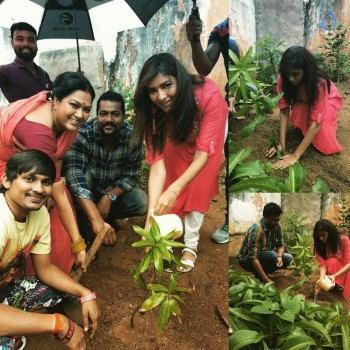 Celebrities at Haritha Haram Event - 18 of 42