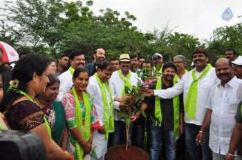 Celebrities at Haritha Haram Event - 27 of 42
