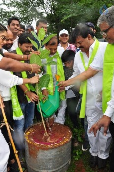 Celebrities at Haritha Haram Event - 34 of 42