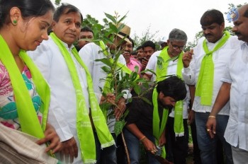 Celebrities at Haritha Haram Event - 35 of 42