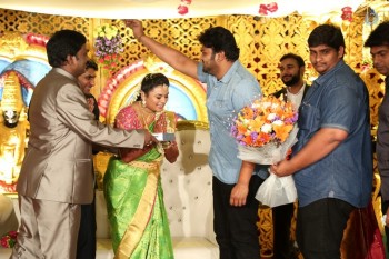 Celebrities at Raghavendra Reddy Daughter Wedding Photos - 50 of 58