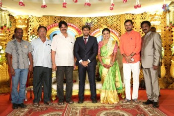 Celebrities at Raghavendra Reddy Daughter Wedding Photos - 24 of 58