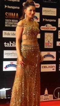 Celebrities at SIIMA 2016 Awards - 11 of 33