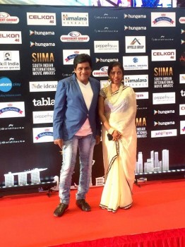Celebrities at SIIMA 2016 Awards - 22 of 33