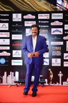 Celebrities at SIIMA 2016 Awards Day 1 - 37 of 48