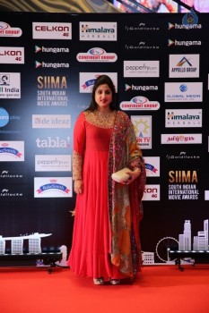 Celebrities at SIIMA 2016 Awards Day 1 - 40 of 48