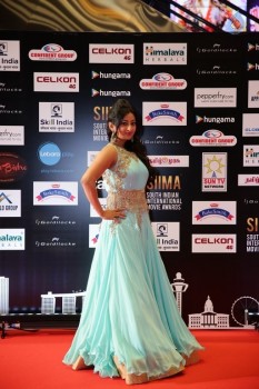 Celebrities at SIIMA 2016 Awards Day 1 - 23 of 48