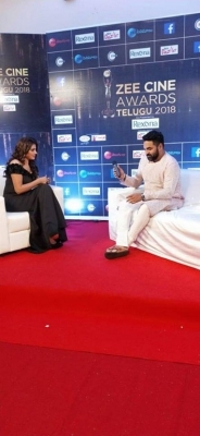 Celebrities at Zee Cine Awards 2018 - 40 of 34